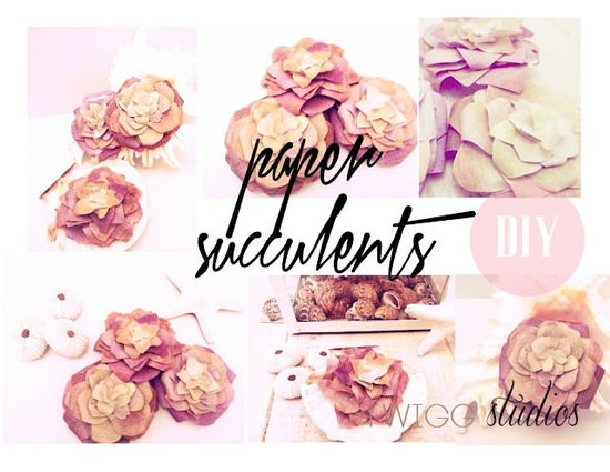 12845-paper-succulents.jpg