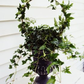 tip-make-a-topiary-from-a-wire-coat-hanger-image-1.JPG