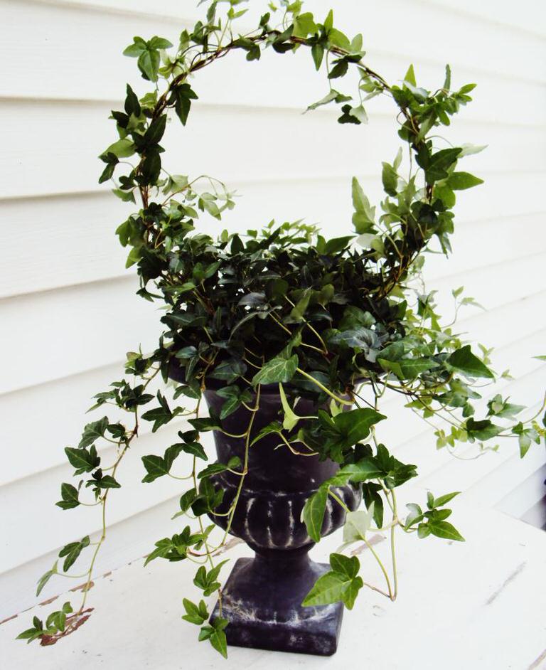 tip-make-a-topiary-from-a-wire-coat-hanger-image-1.JPG