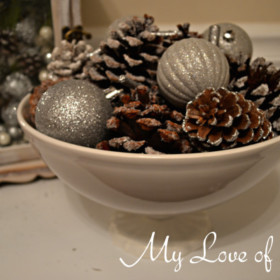 Frosted Pinecone display 1