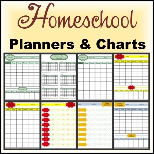 Chore Chart Template