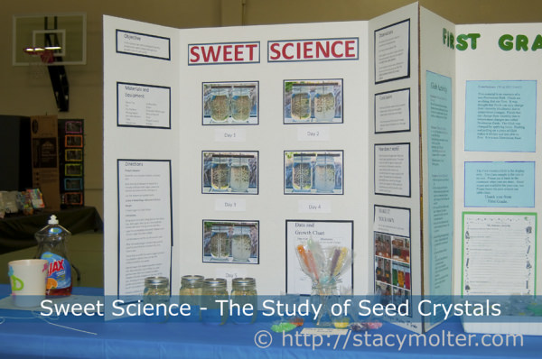 Sweet-Science_Science-Fair