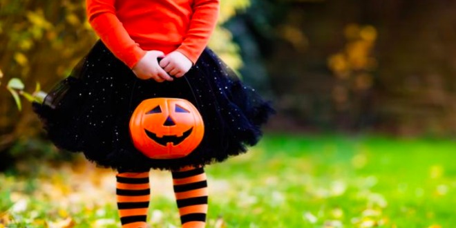 Fun and Wacky Holidays to Celebrate in October! [printable] – Tip Junkie