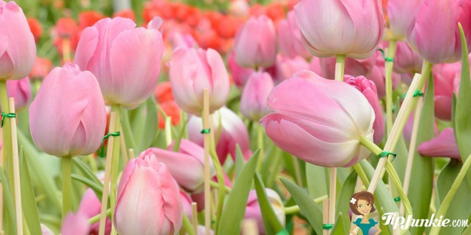 april holidays