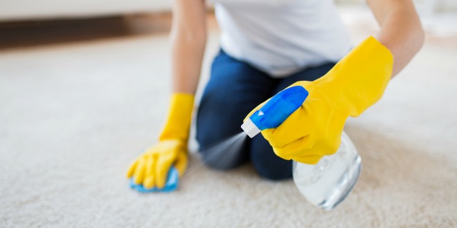 carpet cleaning