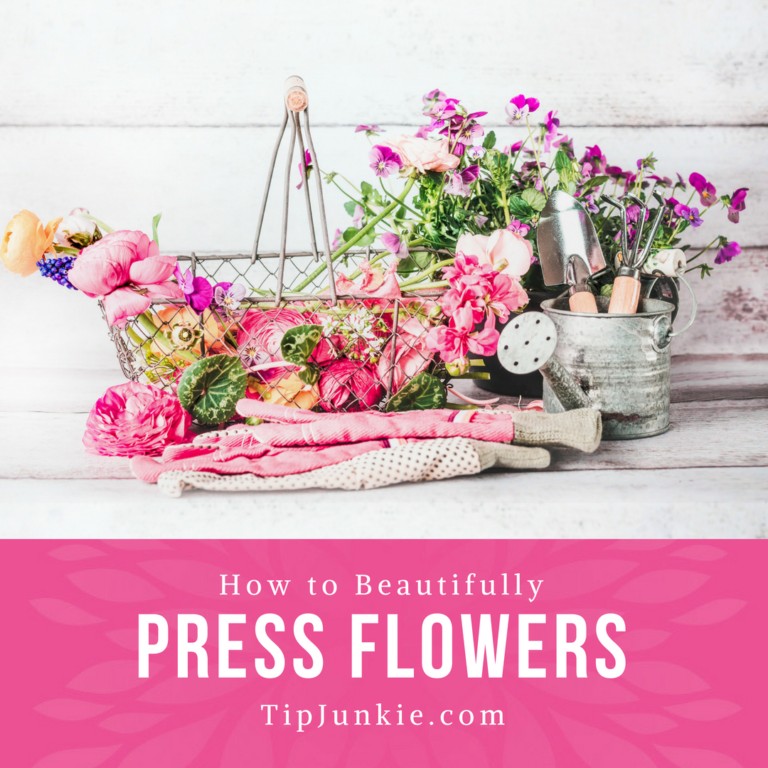 How To Press Flowers Beautifully on TipJunkie