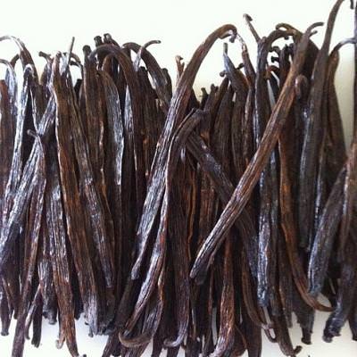 Homemade Gourmet Vanilla Extract