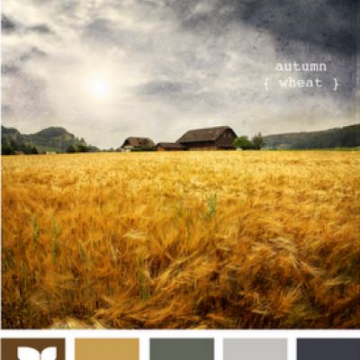 Color Palette Inspiration {color combinations}
