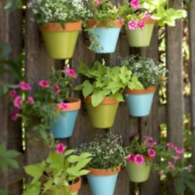 Container Planting on Your Fence {garden}