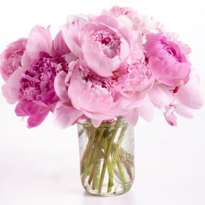 Easy Tips to Arrange Flowers {Floral Arrangements}