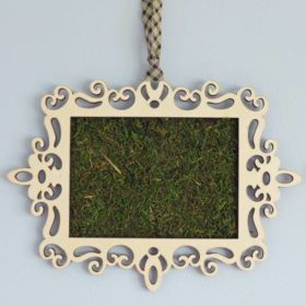 Framed Moss {tutorial}