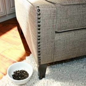 How to Add Nailhead Trim to Upholstered Furniture {furniture refurbishing}