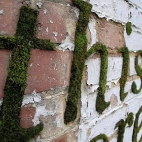 Moss Art{decorate walls}