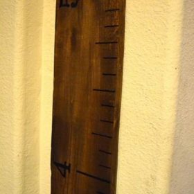 Pallet Growth Chart {diy pallet}