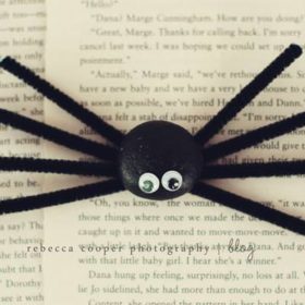 Silly Stone Spiders {Halloween How To}