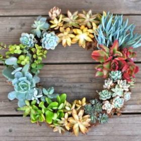 DIY LIving Wreath {Tutorial}