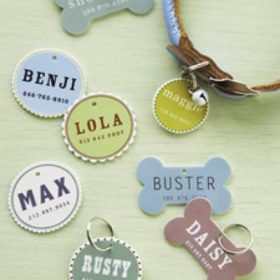 DIY Pet ID Tags