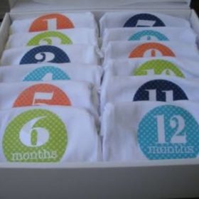 Monthly Onesies {Baby Shower Gift}