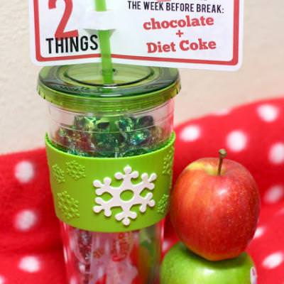 Teacher Survival Gift Idea