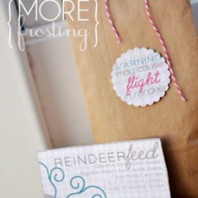 The Story of Reindeer Feed {Christmas Gift}