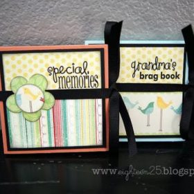 Accordian Albums  {Mini Album}