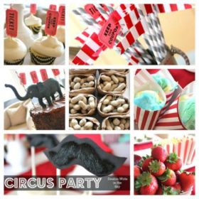 Adult Themed Circus Party {party time}