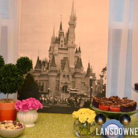 Disney World Magic Kingdom birthday party {Kids Birthday Party}