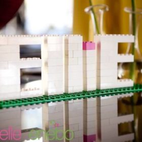 Lego Party {Boy or Girl Lego Party Idea}