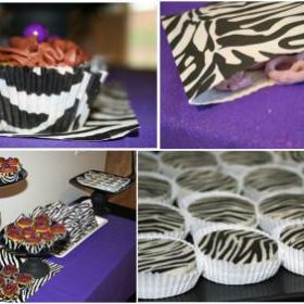 Zebra Themed Birthday Party