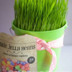 Lollipop Seed Packet Printable