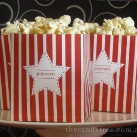 Mini Popcorn Boxes {Movie Themed Parties}