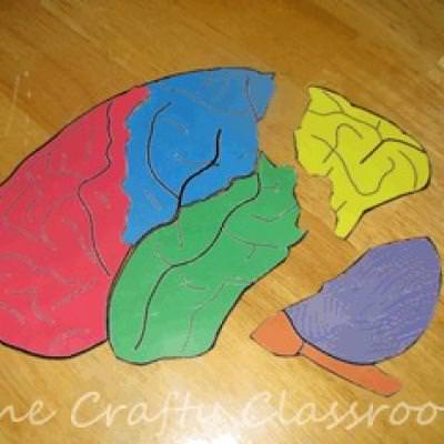 printable brain puzzle activities for kids tip junkie