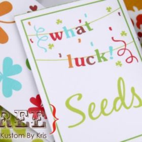"What Luck" Printable Seed Packets {Party Favor}