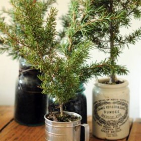 Alternative To A Full Tree {Christmas Tree Ideas}