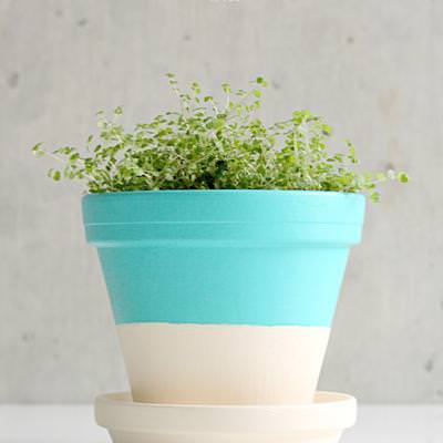 Colorblock Terracotta Plant Pot DIY {Indoor Plants}
