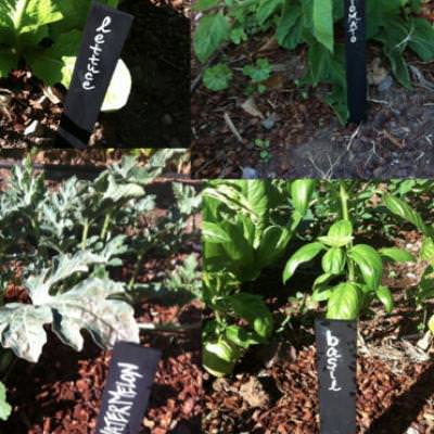 DIY Garden Markers {Gardening}