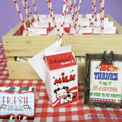Farm Animal Birthday {food themes}