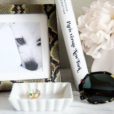 Faux Snakeskin Frame {DIY Frames}
