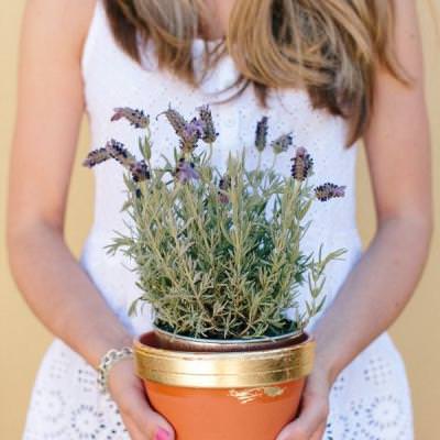 Gold Leaf Pots {Pots and Planters}