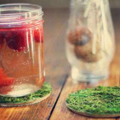 Moss DIY Coasters {Coasters}