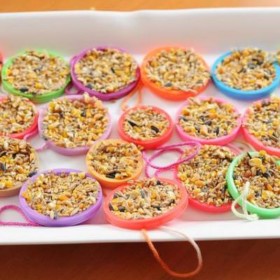 Play Doh Bird Feeders {Craft Projects}