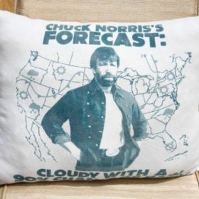 T-shirt Pillow {gag gift}