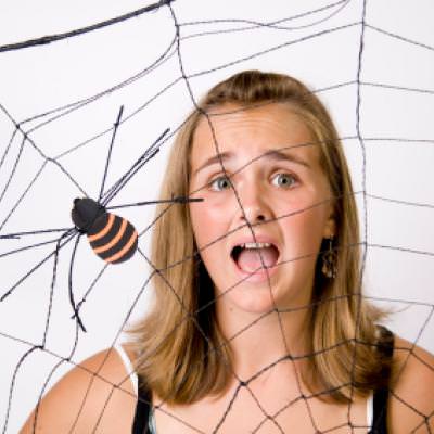 Ten Halloween Tricks Halloween Pranks – Tip Junkie