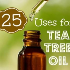 Twenty-Five Uses for Tree Oil {Healing Therapies}