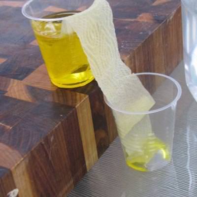 Walking Water Science Experiment {Science Projects}