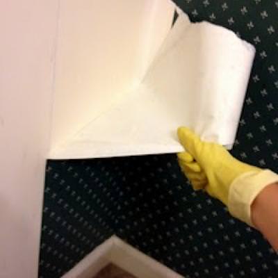 Wallpaper Removal {Wallpaper}